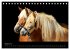 Magische Momente - Pferde Horses... - Bild 14