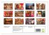Rajasthan, Indien - Pushkar Mela... - Bild 6