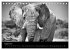 Elefanten Schwarz - Weiss... - Bild 14