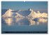 Ilulissat Eisfjord, Grönland. EIS -... - Bild 10