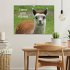 Lama und Alpaka (Wandkalender 2026 DIN... - Bild 2