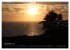 Kalifornien 2026 (Wandkalender 2026 DIN... - Bild 10