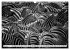 Emotionale Momente: Zebras - black &... - Bild 10