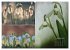 Blumenreise 2026 (hochwertiger Premium... - Bild 6