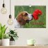 Beagle (Wandkalender 2026 DIN A4 quer),... - Bild 2