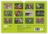 Beagle (Wandkalender 2026 DIN A4 quer),... - Bild 6