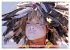 Magisches Indianerland (Wandkalender... - Bild 3