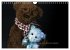 Die Teddys sind los (Wandkalender 2026... - Bild 7