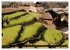 Nepal (Wandkalender 2026 DIN A3 quer),... - Bild 8