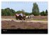 Hansestadt Lüneburg und Lüneburger... - Bild 11