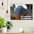 Schweizer Eisenbahn (Wandkalender 2026... - Bild 2