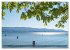 Bodensee Träume (Wandkalender 2026 DIN... - Bild 10