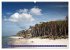Weststrand Darß (Wandkalender 2026 DIN... - Bild 15
