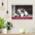 Hunde-Spruchreif (Wandkalender 2026 DIN... - Bild 2