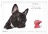 Hunde-Spruchreif (Wandkalender 2026 DIN... - Bild 4