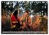 Magisches Indianerland (Tischkalender... - Bild 10