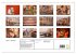 Indien - Varanasi (Wandkalender 2026... - Bild 6