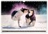 Smooth Collies (Wandkalender 2026 DIN... - Bild 7