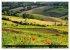 Emilia-Romagna (hochwertiger Premium... - Bild 11