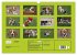 Beagle (Wandkalender 2026 DIN A3 quer),... - Bild 6