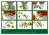 Food (Wandkalender 2026 DIN A2 quer),... - Bild 13