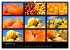 Food (Wandkalender 2026 DIN A2 quer),... - Bild 15
