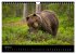 Naturwucht Skandinavien (Wandkalender... - Bild 10