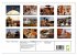 Nepal - Kathmandutal (Wandkalender 2026... - Bild 6