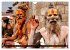 Nepal - Kathmandutal (Wandkalender 2026... - Bild 10