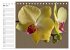 Blütenzauber Orchideen (Tischkalender... - Bild 11