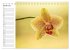 Blütenzauber Orchideen (Tischkalender... - Bild 7