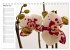 Blütenzauber Orchideen (Tischkalender... - Bild 8