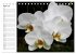 Blütenzauber Orchideen (Tischkalender... - Bild 10