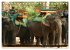 Kambodscha - Angkor Wat (Tischkalender... - Bild 11