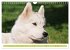 Siberian Husky - der Urtyp... - Bild 5