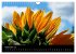 Sonnenblumen (Wandkalender 2026 DIN A4... - Bild 15