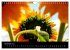 Sonnenblumen (Wandkalender 2026 DIN A4... - Bild 4