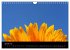 Sonnenblumen (Wandkalender 2026 DIN A4... - Bild 7
