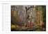 Der Neuenburger Urwald (Wandkalender... - Bild 4