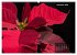Der Natur auf der Spur -... - Bild 5