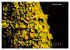 Der Natur auf der Spur -... - Bild 8