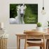 Traumpferd Lipizzaner (Wandkalender... - Bild 2