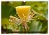 Mauritius - Trauminsel im Indischen... - Bild 5