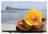 Mauritius - Trauminsel im Indischen... - Bild 12