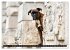 Käthe - ein Boxer mit Charme... - Bild 12