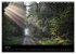 Waldkalender (Wandkalender 2026 DIN A3... - Bild 13