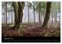 Waldkalender (Wandkalender 2026 DIN A3... - Bild 15