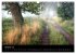 Waldkalender (Wandkalender 2026 DIN A3... - Bild 3