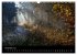 Waldkalender (Wandkalender 2026 DIN A3... - Bild 4