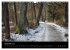 Waldkalender (Wandkalender 2026 DIN A3... - Bild 5